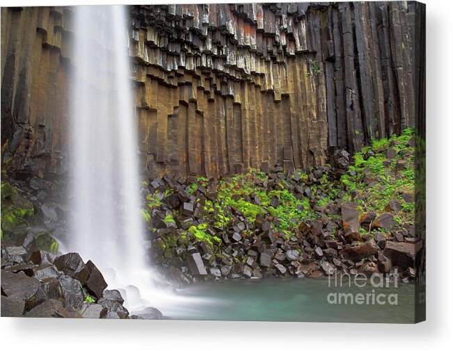 Icelandic Waterfall Acrylic Print featuring the photograph Svartifoss waterfall and basalt columns, Skaftafell national park, Iceland by Neale And Judith Clark