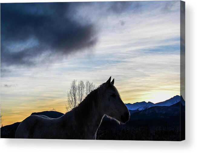 Winter Acrylic Print featuring the photograph Sweeping Cloud Sunset by Listen To Your Horse