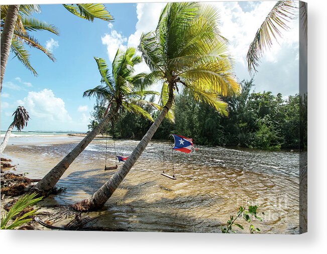 Swinging Acrylic Print featuring the photograph Swinging Under The Palm Trees, Loiza, Puerto Rico by Beachtown Views