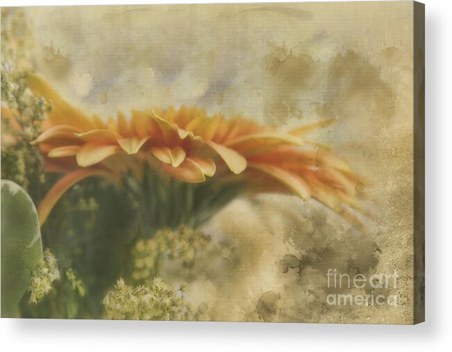Flower Acrylic Print featuring the photograph Tapestry by Joan Bertucci