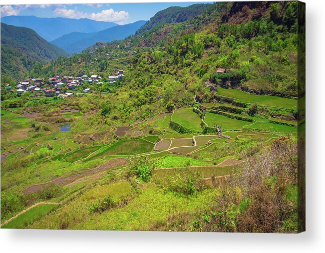 Philippines Acrylic Print featuring the photograph Terraces of Sagada by Arj Munoz