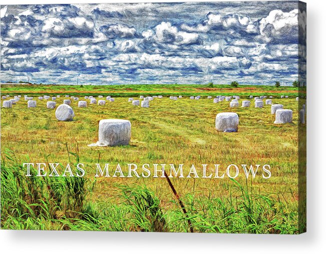 Harvest Acrylic Print featuring the photograph Texas Marshmallows-Digital Art by Steve Templeton