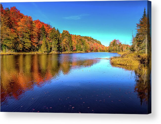 The Beauty Of Bald Mountain Pond Acrylic Print featuring the photograph The Beauty of Bald Mountain Pond by David Patterson