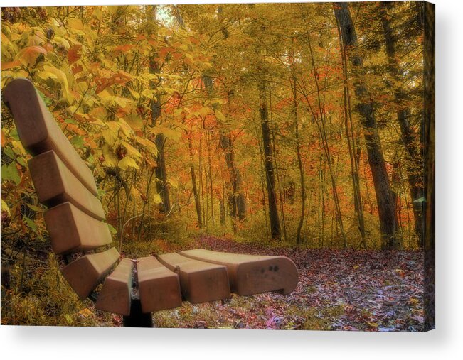 Forest Acrylic Print featuring the photograph The Bench in the Golden Forest by Jason Fink