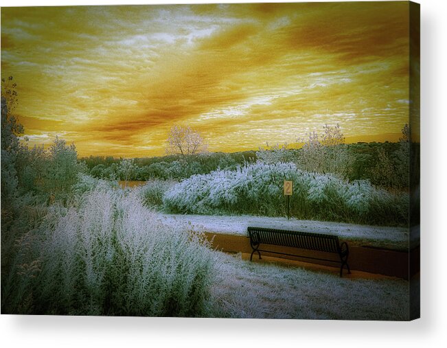 Overpeck Park Acrylic Print featuring the photograph The Bench by Penny Polakoff