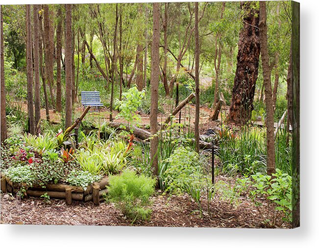 Garden Acrylic Print featuring the photograph The Blue Bench at Lakeside, Pemberton, Western Australia by Elaine Teague