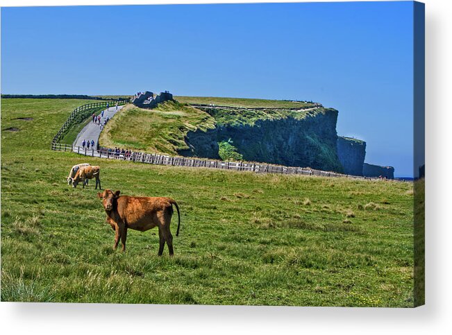 Ireland Acrylic Print featuring the photograph The Cliffs of Moher by Edward Shmunes