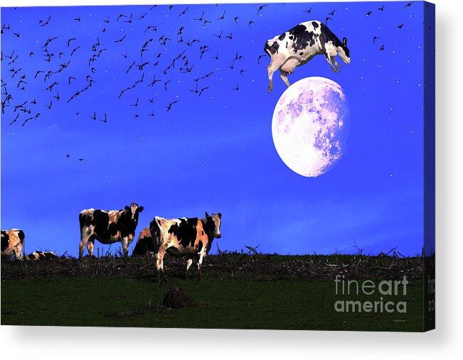 Wingsdomain Acrylic Print featuring the photograph The Cow Jumped Over The Moon by Wingsdomain Art and Photography