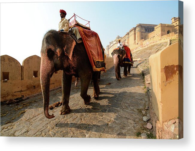 India Acrylic Print featuring the photograph Kingdom Come. - Amber Palace, Rajasthan, India by Earth And Spirit