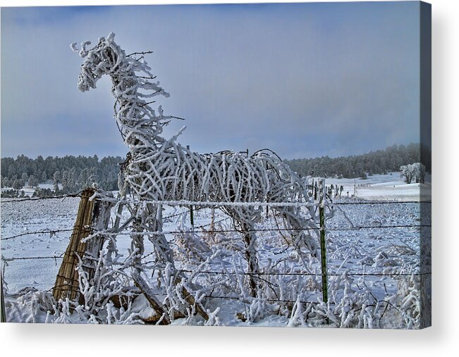 Abstract Acrylic Print featuring the photograph The Fence Becomes The Horse by Alana Thrower