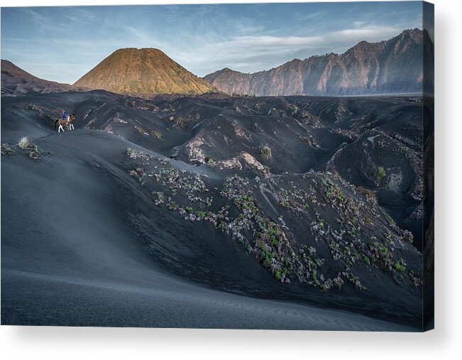 Asia Acrylic Print featuring the photograph The horse rider of Mt Bromo by Anges Van der Logt