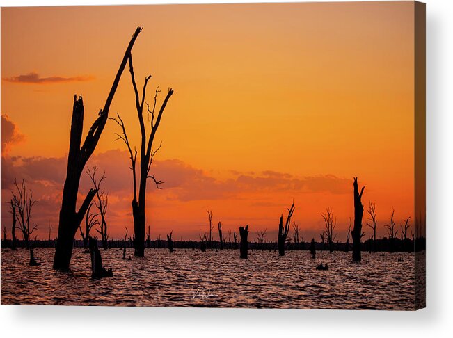 Orange Acrylic Print featuring the photograph The Lake by Vicki Walsh