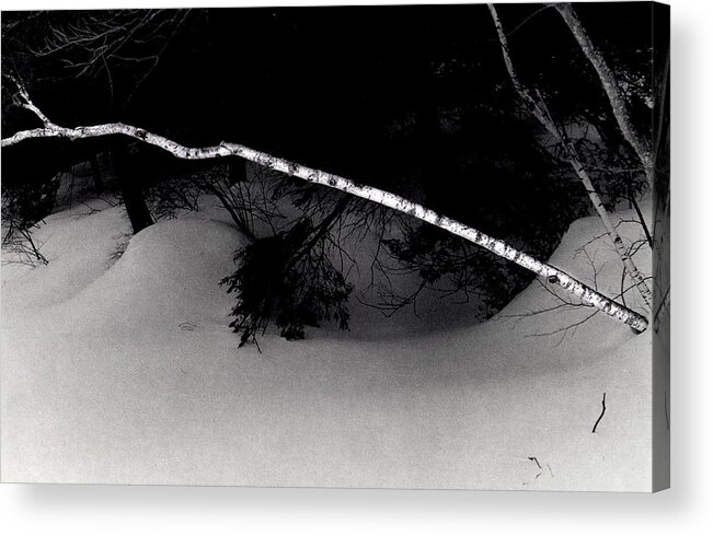 Snow Acrylic Print featuring the photograph The Lone Birch by Wayne King