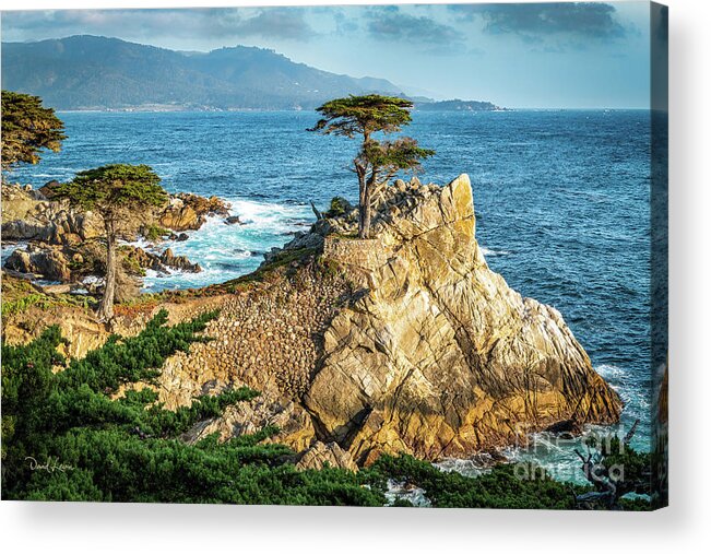 17 Mile Drive Acrylic Print featuring the photograph The Lone Cypress by David Levin