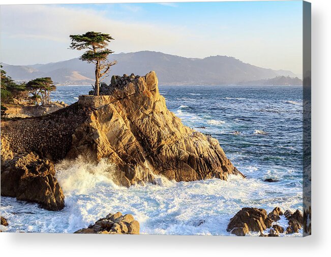 Ngc Acrylic Print featuring the photograph The Lone Cypress by Robert Carter