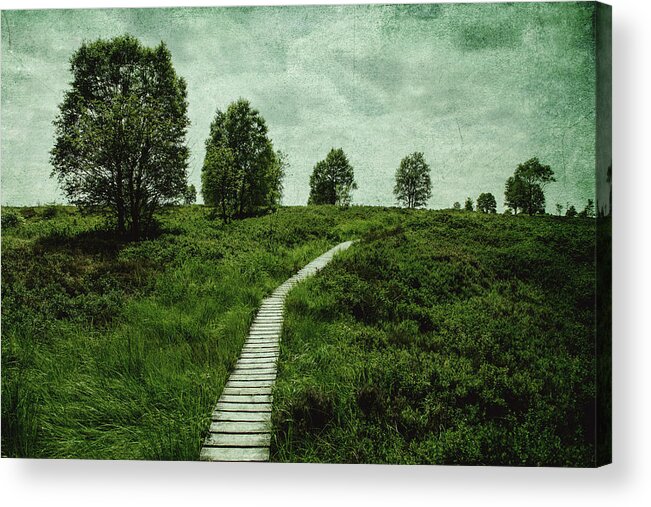 Land Acrylic Print featuring the photograph The long path by Yasmina Baggili