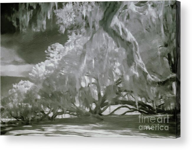 Oaks Acrylic Print featuring the mixed media The Mighty Live Oak by DB Hayes
