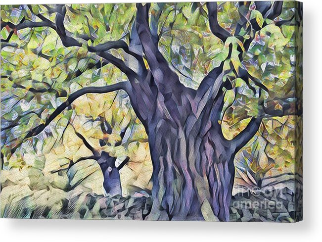 Trees Acrylic Print featuring the photograph The Mighty Oak Tree by Philip Preston