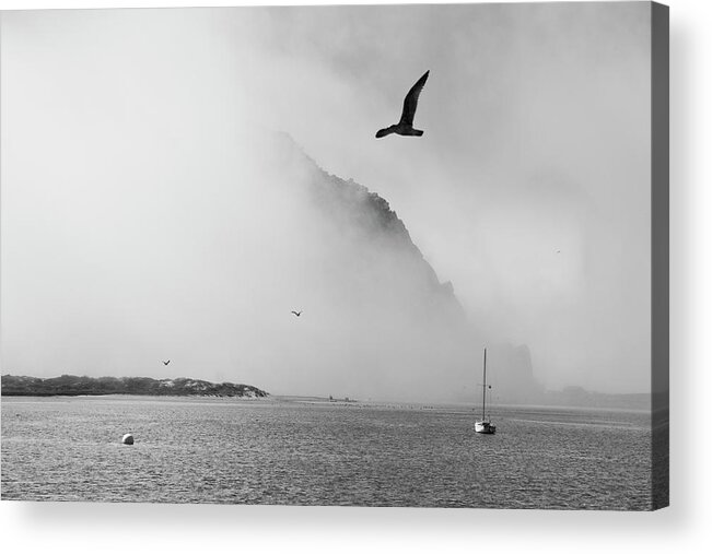 Morro Rock Acrylic Print featuring the photograph The Mist by Gina Cinardo