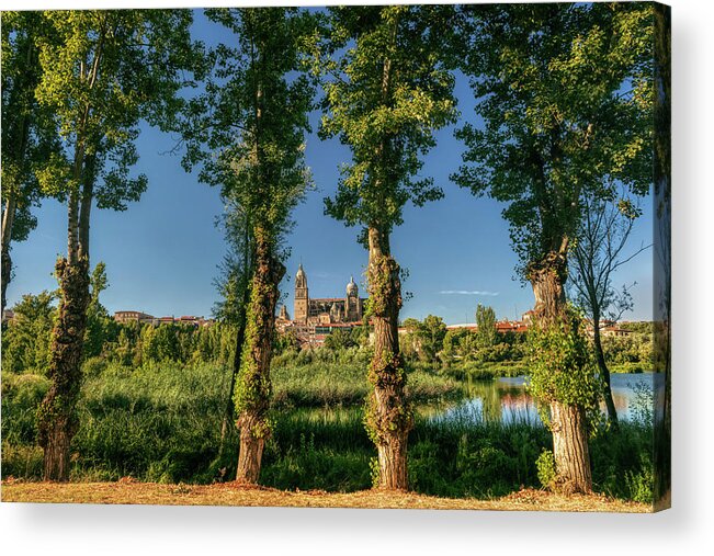 Salamanca Acrylic Print featuring the photograph The opposite bank by Micah Offman