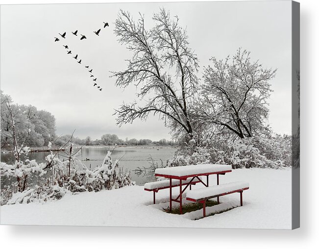 Yahara Acrylic Print featuring the photograph The Picnic is Over, Let's Head South - red snow covered picnic table and geese at Yahara river WI by Peter Herman