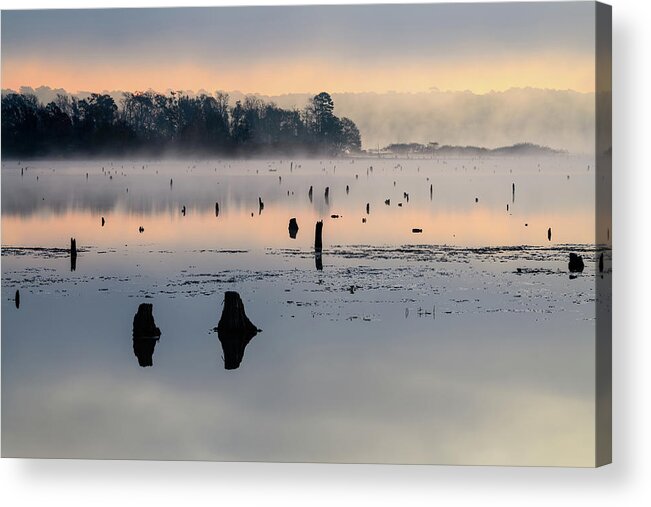 Conroe Acrylic Print featuring the photograph The Remnant by Michael Scott