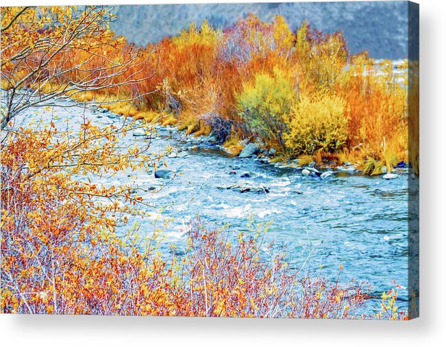 Fall Color Photography Acrylic Print featuring the photograph The River Must Flow by Terry Walsh
