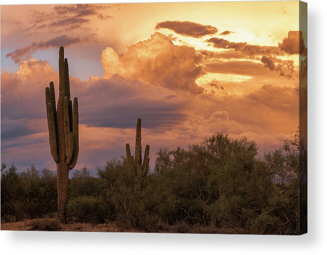 American Southwest Acrylic Print featuring the photograph The Smell of Rain by Rick Furmanek