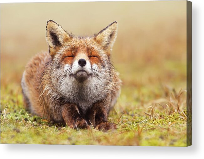 Fox Acrylic Print featuring the photograph The Smiling Fox by Roeselien Raimond