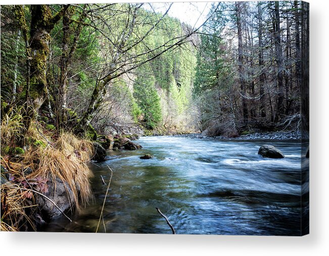 South Fork Acrylic Print featuring the photograph The South Fork of the McKenzie River by Belinda Greb