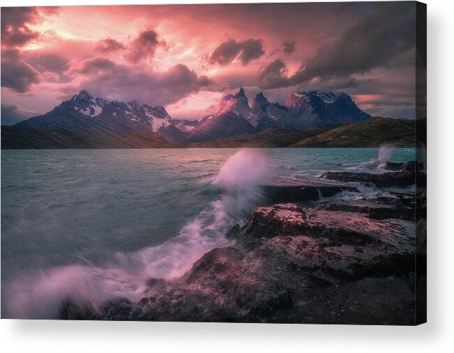 Patagonia Acrylic Print featuring the photograph The Windd by Henry w Liu