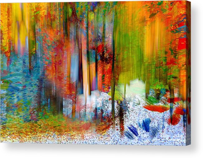 Autumn Acrylic Print featuring the photograph The Woods in Summer by Ursula Abresch