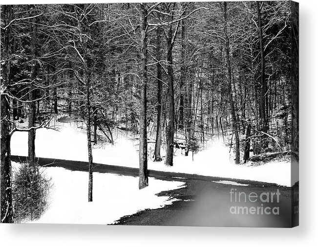 Winter Acrylic Print featuring the photograph Through the Woods by Shelia Hunt