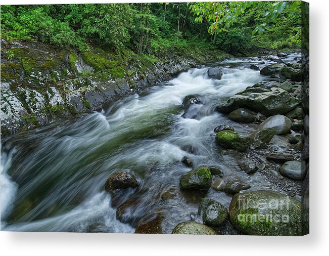 Smoky Mountains Acrylic Print featuring the photograph Thunderhead Prong 14 by Phil Perkins