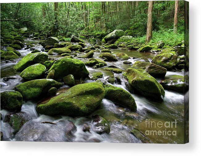 Smoky Mountains Acrylic Print featuring the photograph Thunderhead Prong 7 by Phil Perkins