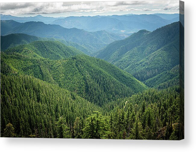 Mountain Acrylic Print featuring the photograph Tidbit 4 by Ryan Weddle