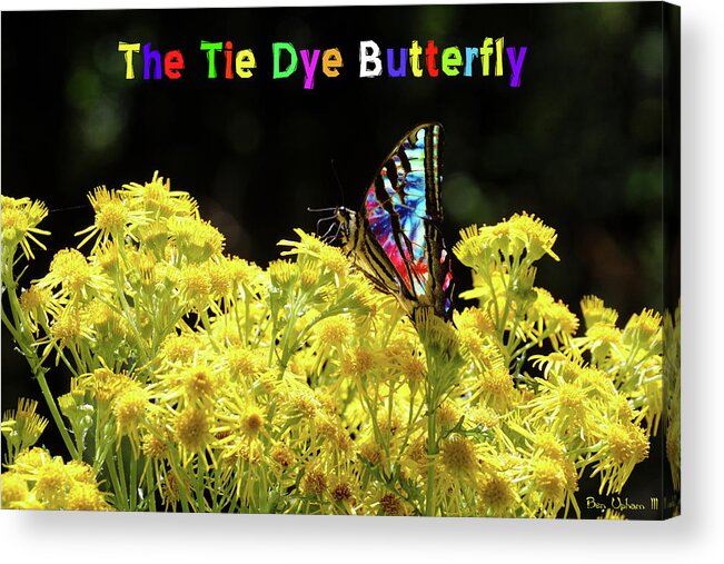 Butterflies Acrylic Print featuring the photograph Tie-Dye Butterfly #4 with Text by Ben Upham III