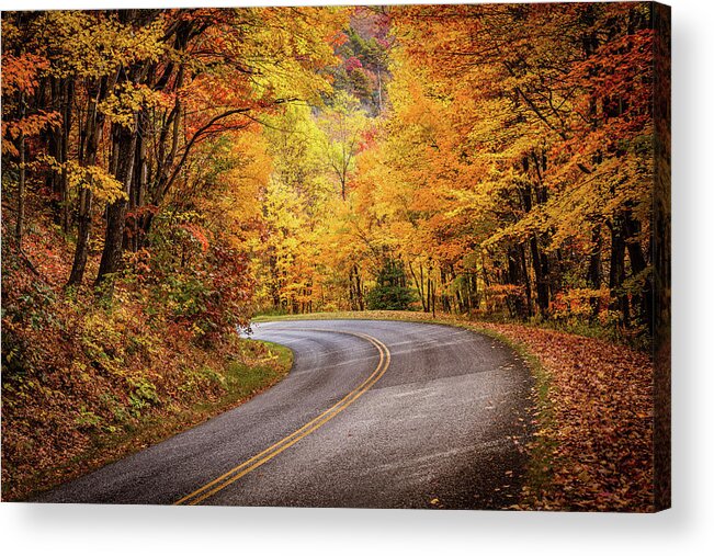 2022 Acrylic Print featuring the photograph Leaf Tunnel on BRP by Charles Hite