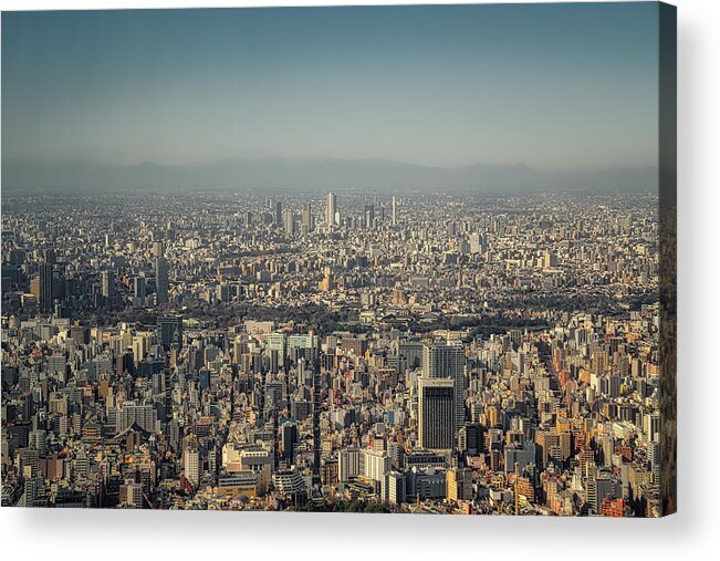 Downtown District Acrylic Print featuring the photograph Tokyo by Mauro Tandoi