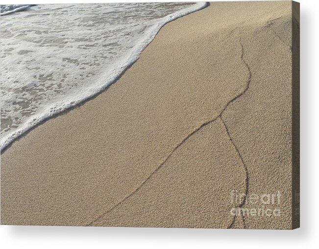 Mediterranean Coast Acrylic Print featuring the photograph Traces of waves on the sandy beach. Sea water meets beige sand 1 by Adriana Mueller