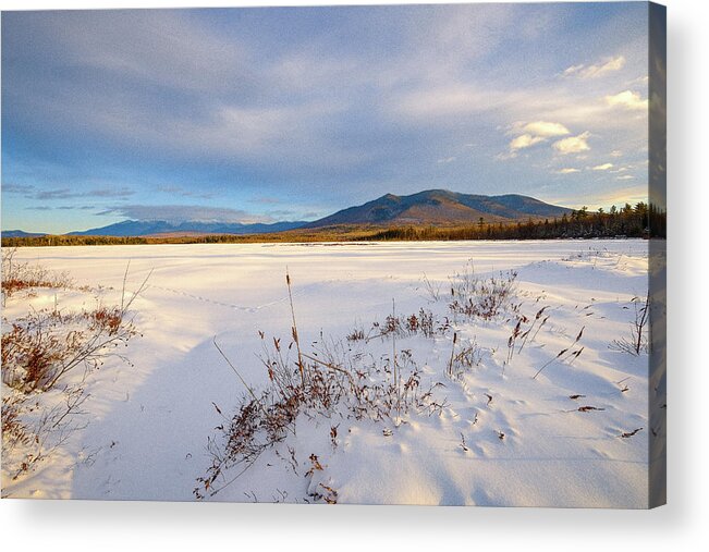 New Hampshire Acrylic Print featuring the photograph Tracks In The Snow, Cherry Pond. by Jeff Sinon