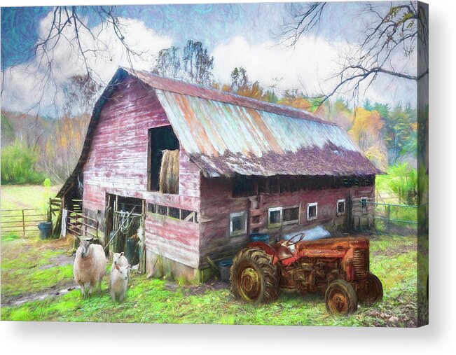 Barns Acrylic Print featuring the photograph Tractor at the Sheep Farm Painting by Debra and Dave Vanderlaan