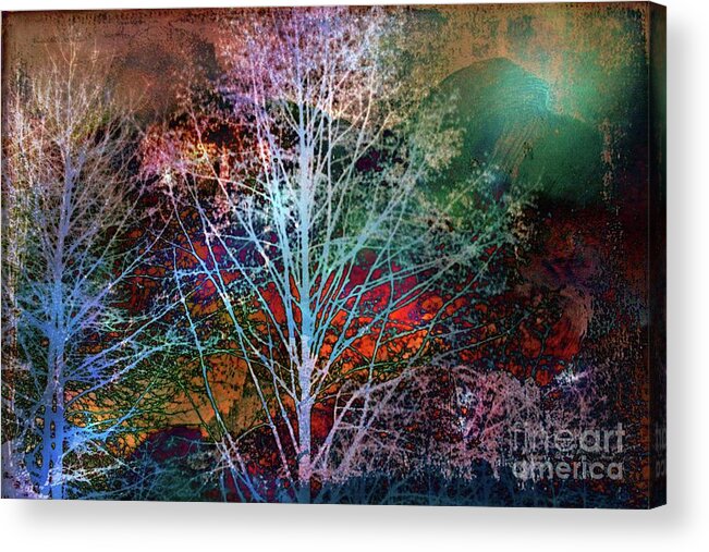 Trees Acrylic Print featuring the photograph Trees In The Night by Sylvia Cook