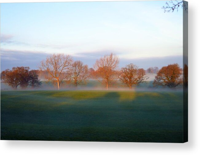 Trees Acrylic Print featuring the photograph Trees One by Ian Hutson