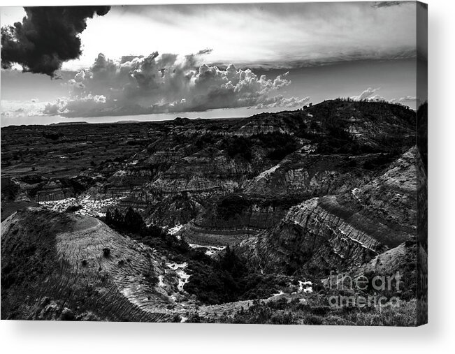 Black And White Acrylic Print featuring the photograph TRNP Black and White by Nathan Wasylewski