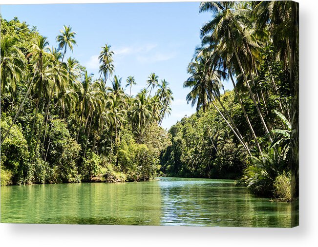 Scenics Acrylic Print featuring the photograph Tropical River by Wolfgang Wörndl