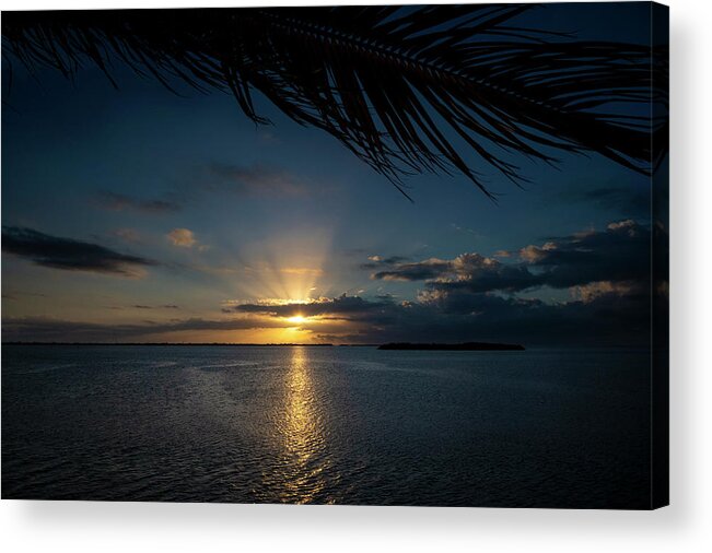 Sunrise Acrylic Print featuring the photograph Tropical Sunrise by Jill Love