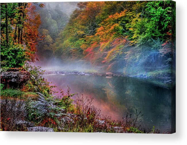 Stream Acrylic Print featuring the photograph Trout Stream in the Catskill Mountains in New York by Cordia Murphy