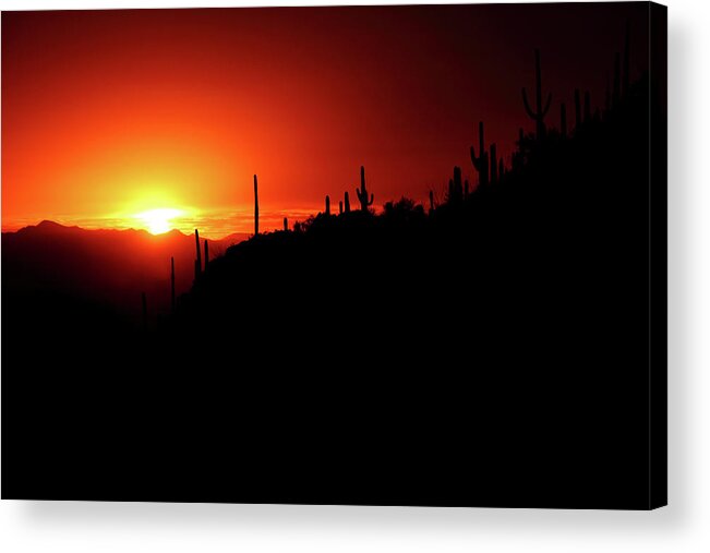 Arizona Acrylic Print featuring the photograph Tucson Sunset by Lens Art Photography By Larry Trager