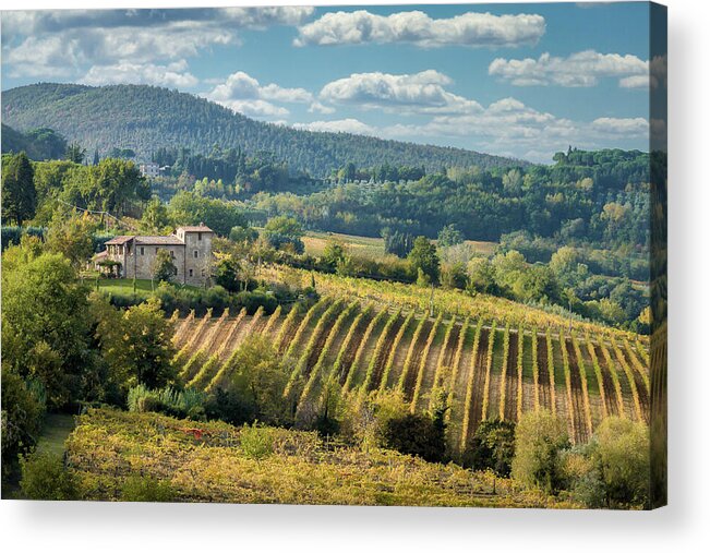 Tuscany Acrylic Print featuring the photograph Tuscan Valley by Dave Bowman
